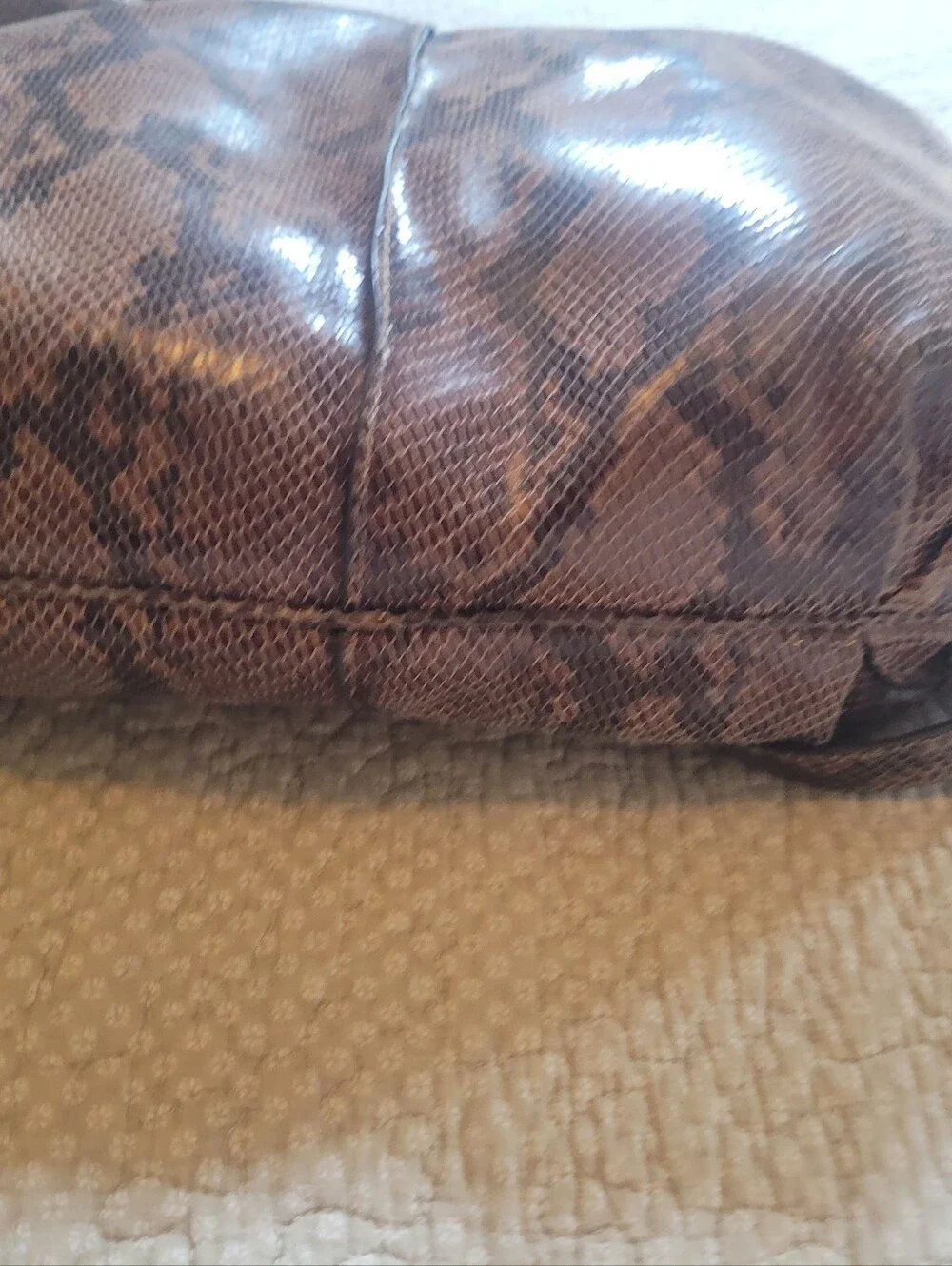 G.I.L.I. Brown Snake-Print Hobo Bag with Tassel